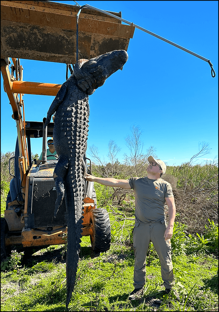 Colossal Conqueror Hunt | Guided by Fla Gator Hunts: $7000