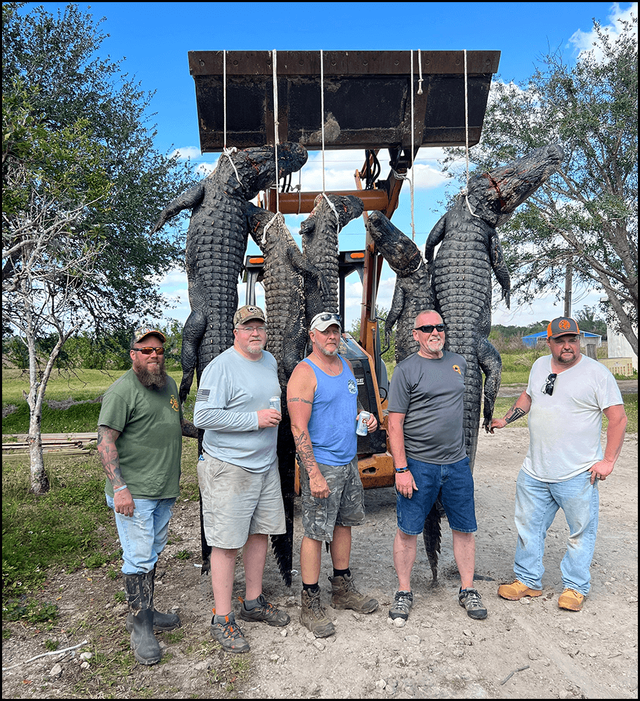 Fla Gator Hunts | Guided Alligator, Hog, and Iguana Hunts in FL