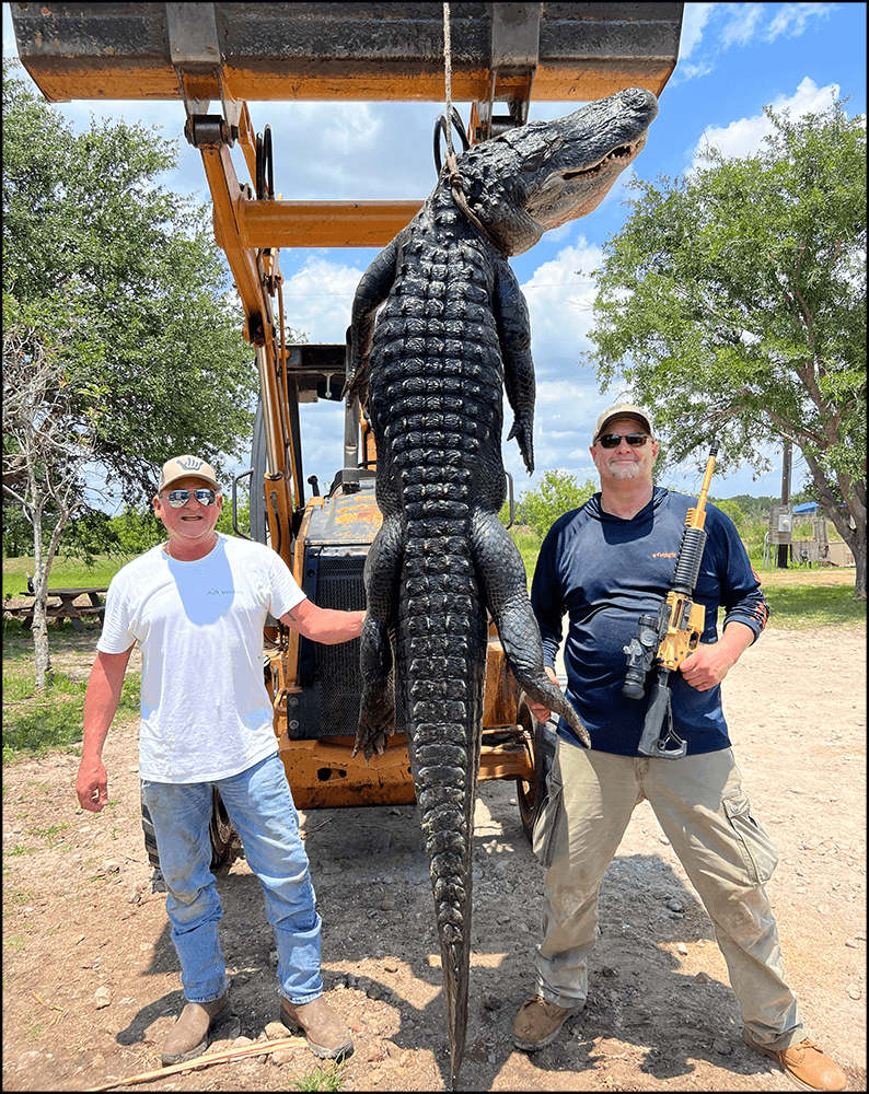 Airboat Upgrade with Gator Hunt | Guided by Fla Gator Hunts: $500