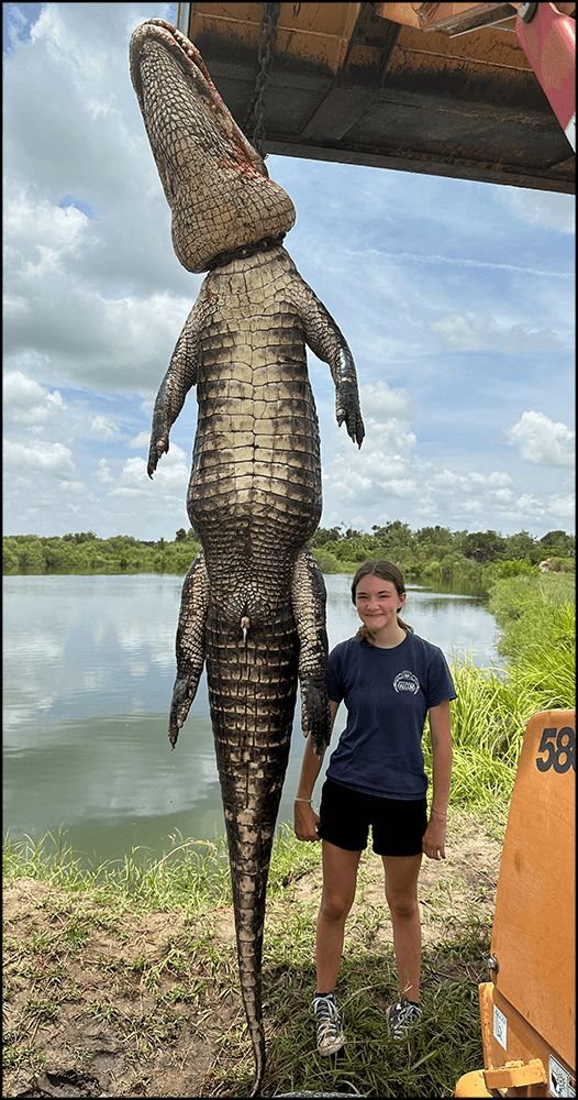 Airboat Upgrade with Gator Hunt | Guided by Fla Gator Hunts: $500