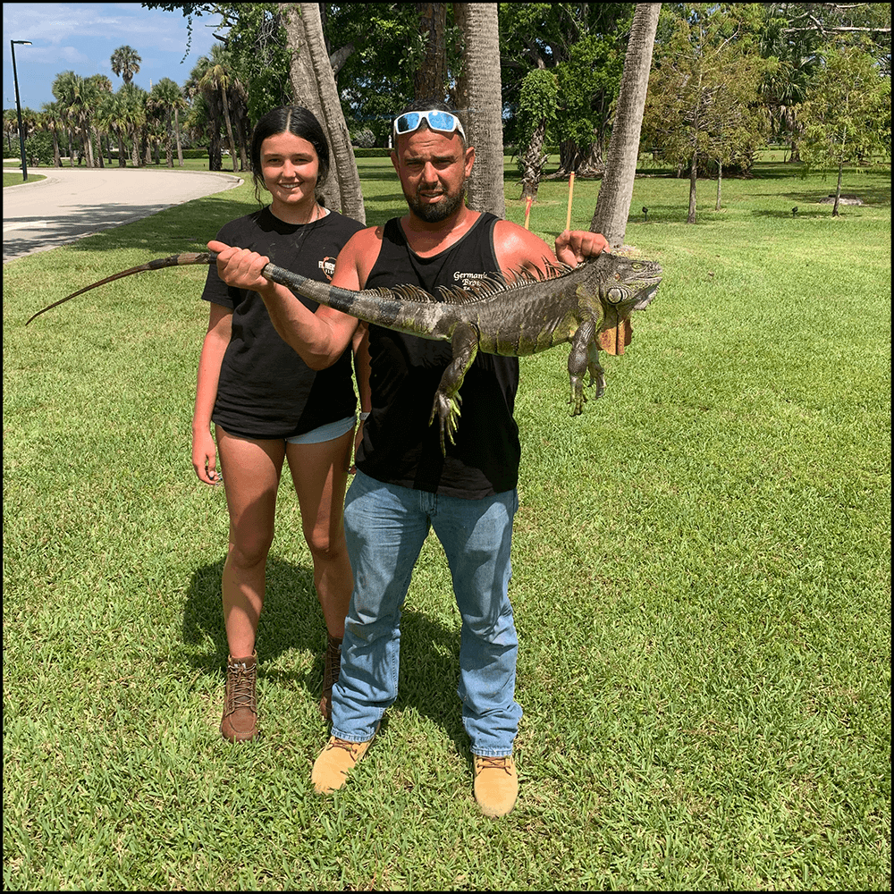 Add-on Participant for West Palm Beach Iguana Group Hunt (Group of 3 Booking Only) | Fla Gator Hunts, Florida: $150