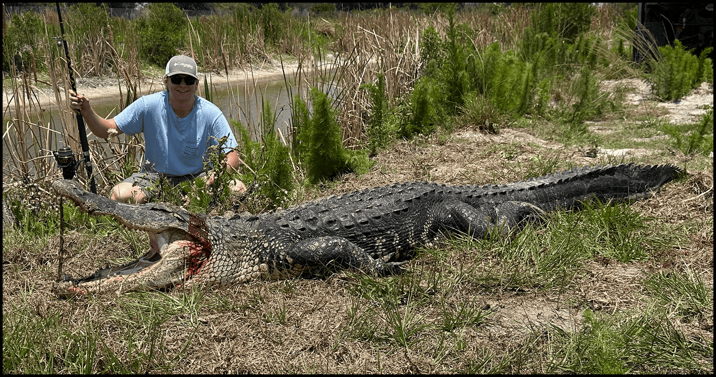 Jurassic Beast Hunt | Guided by Fla Gator Hunts: $3000